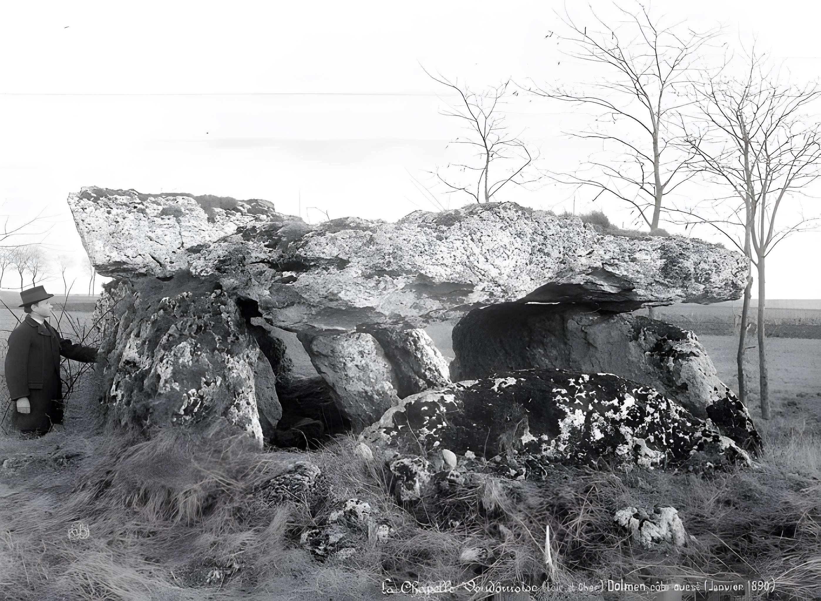 Dolmen de la Pierre Levée à La Chapelle-Vendômoise