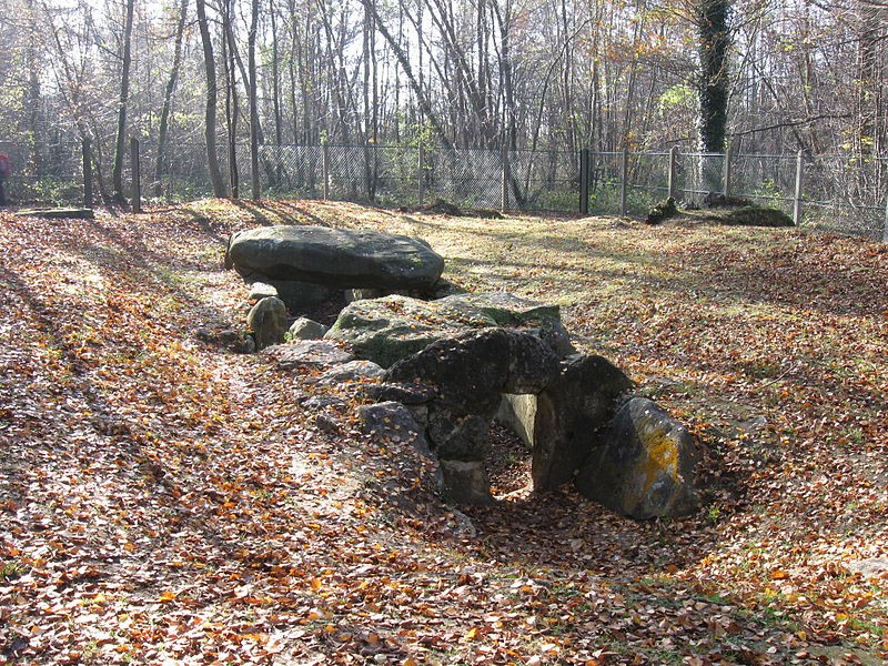 Photo de Dolmen de la Pierre Plate à L'Isle-Adam