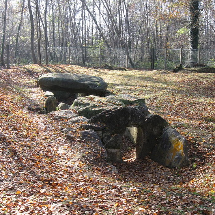 Photo de Dolmen de la Pierre-Plate situé dans la forêt de lIsle-Adam