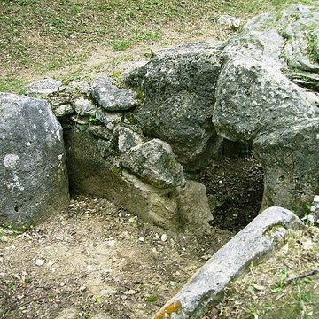 Dolmen de la Pierre-Plate situé dans la forêt de lIsle-Adam