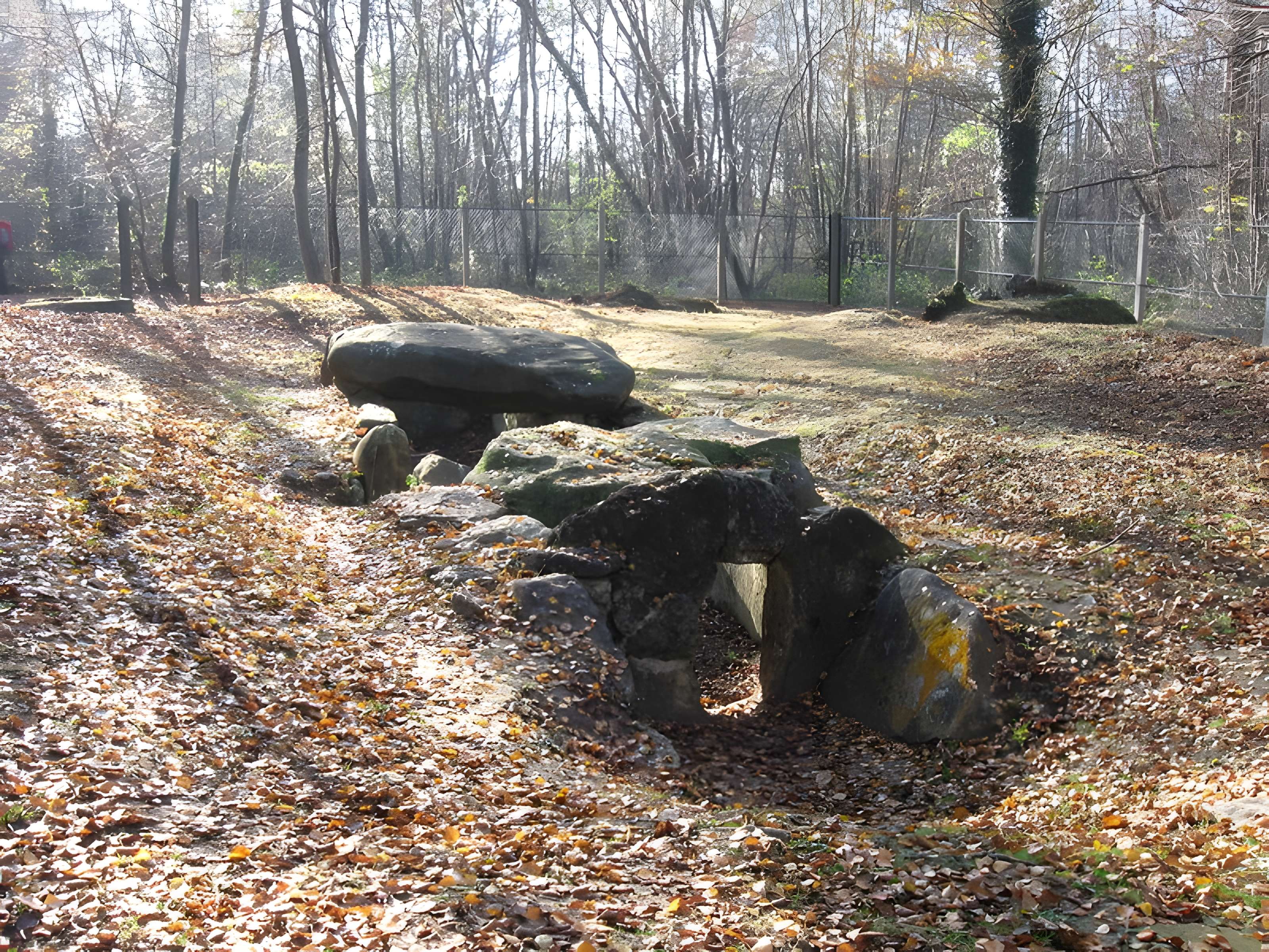 Dolmen de la Pierre Plate à L'Isle-Adam 