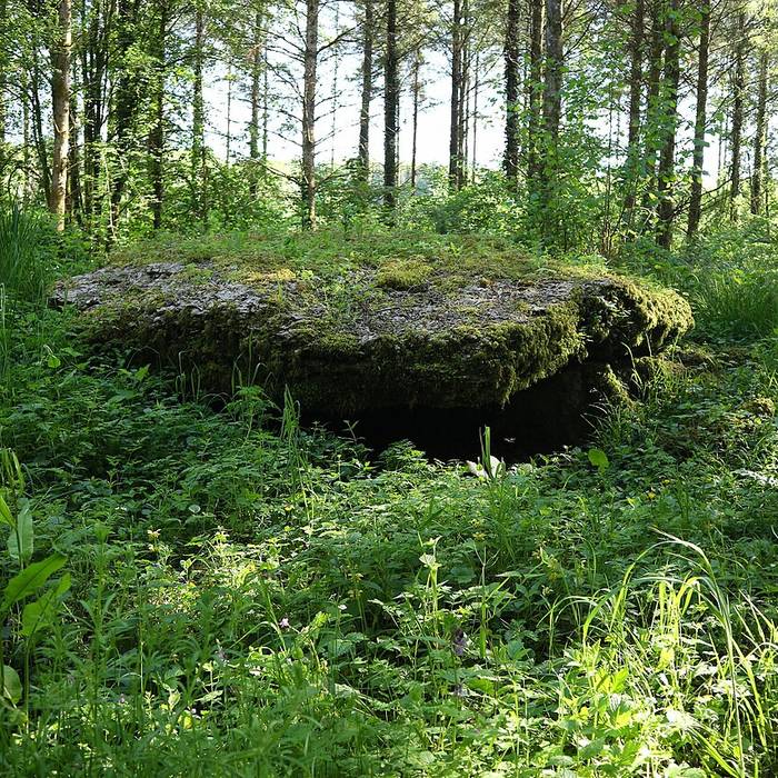 Photo de Dolmen de la Pierre Tournante à Nogent