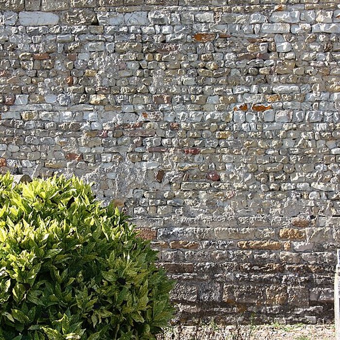 Photo de Église Saint-André de Saint-André-de-Bâgé
