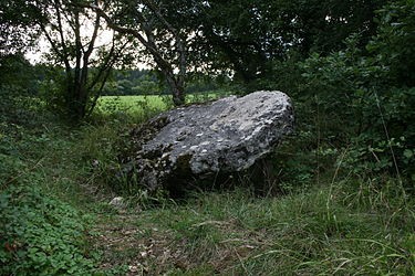 Photo de Dolmen de la Pierre-qui-Vire à Colombe-lès-Vesoul
