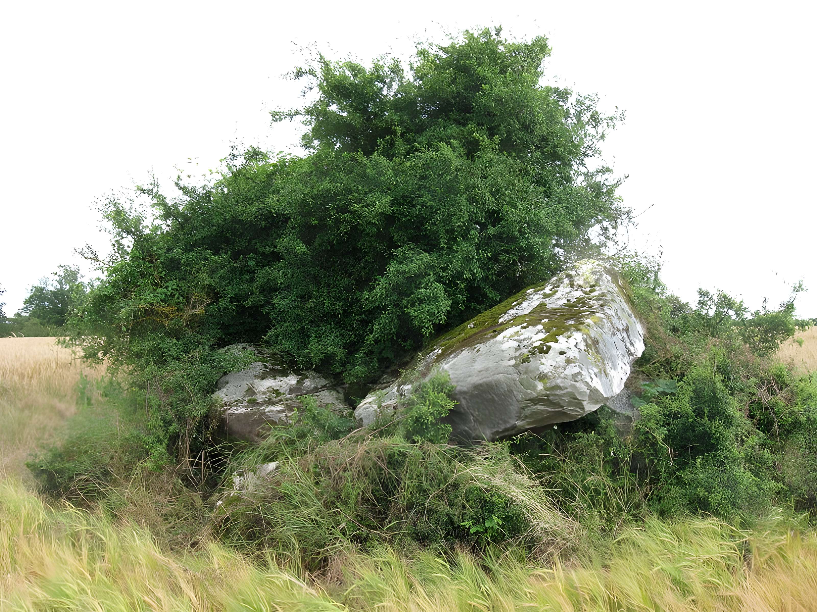 Dolmen de la Roche aux Loups à Buthiers 