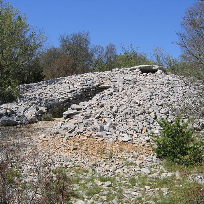 Photo de Dolmen de Lamalou à Rouet