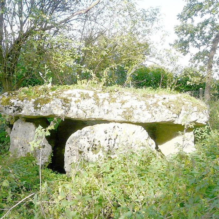 Photo de Dolmen de Laverré à Aslonnes