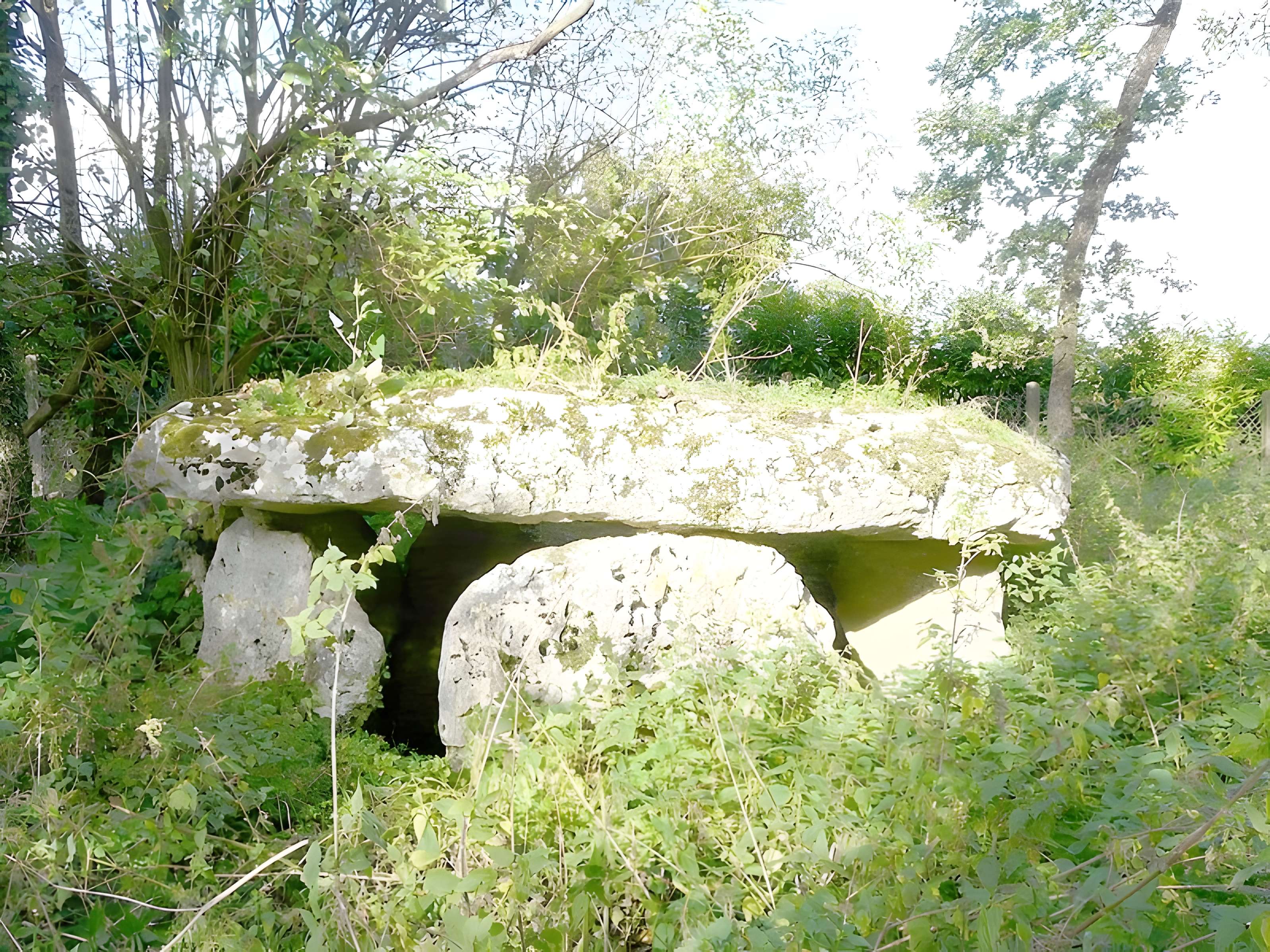 Dolmen de Laverré à Aslonnes 