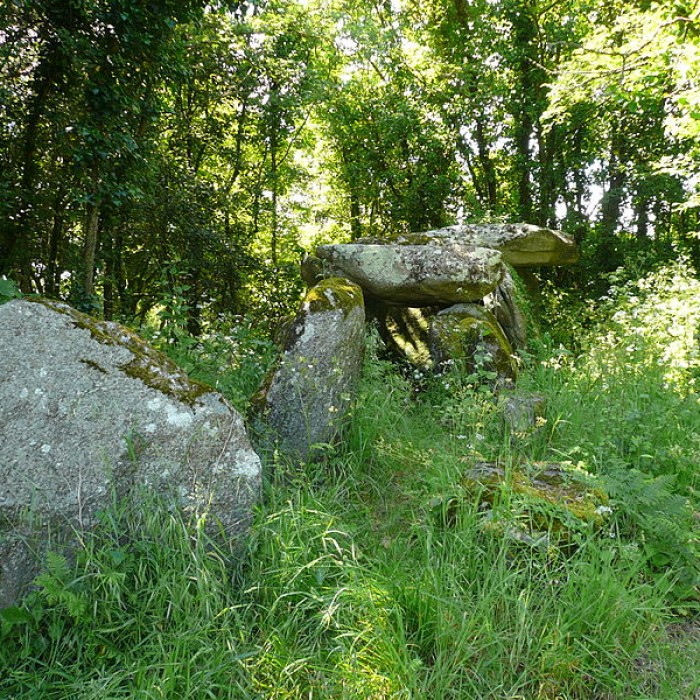Photo de Dolmen de Lestriguiou à Plomeur