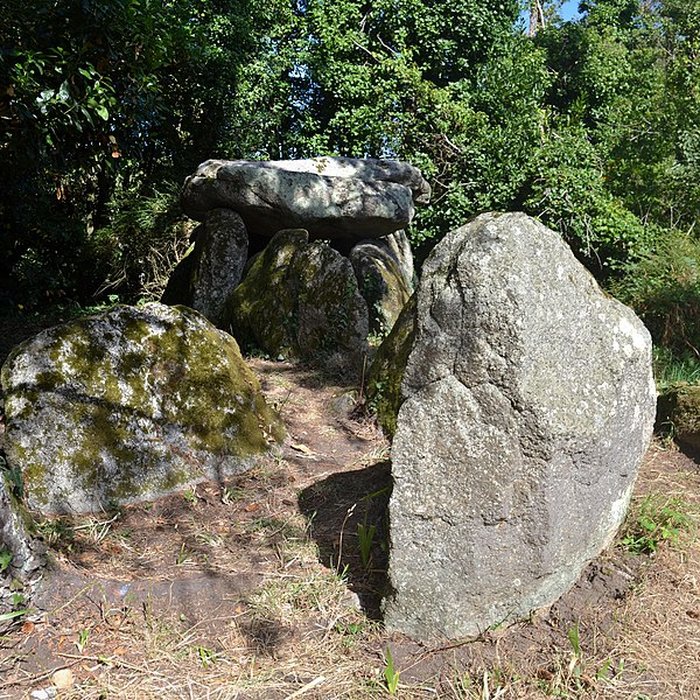 Photo de Dolmen de Lestriguiou à Plomeur