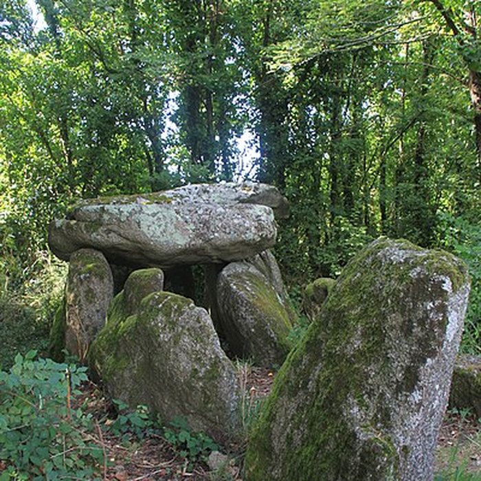 Photo de Dolmen de Lestriguiou à Plomeur