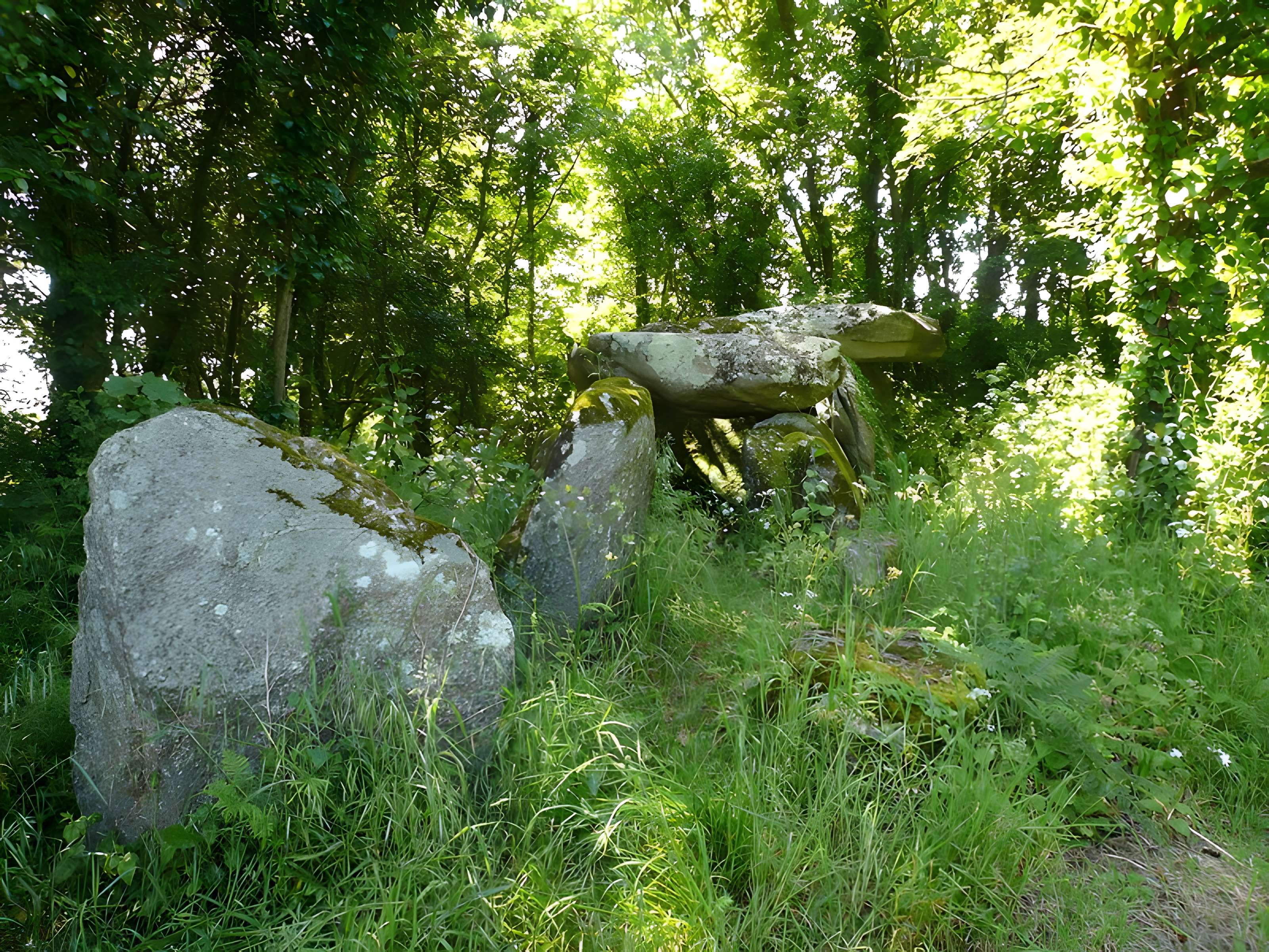 Dolmen de Lestriguiou à Plomeur 