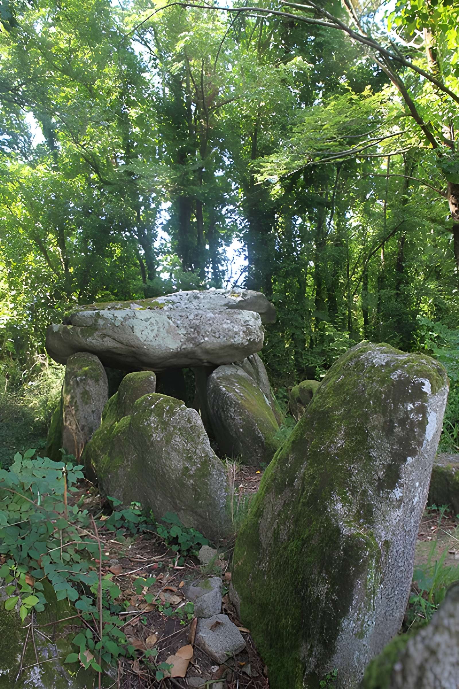 Dolmen de Lestriguiou à Plomeur