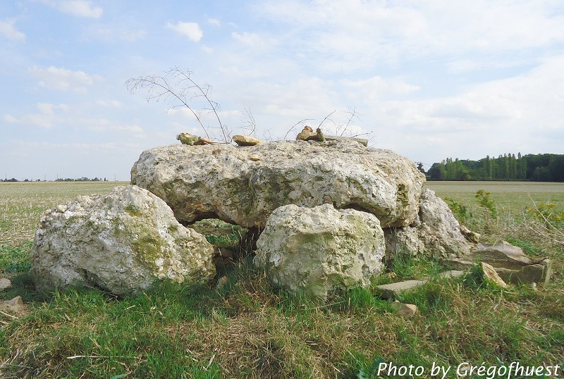 Photo de Dolmen de l'Hôtel-Dieu des Ventes