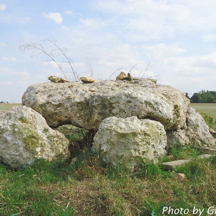 Photo de Dolmen de lHôtel-Dieu des Ventes
