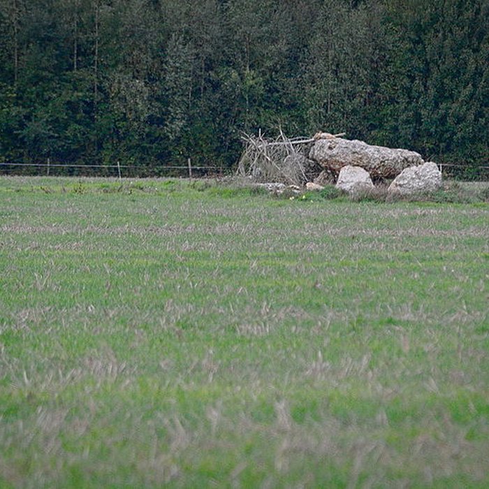 Photo de Dolmen de lHôtel-Dieu des Ventes