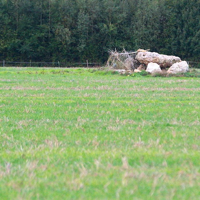 Photo de Dolmen de lHôtel-Dieu des Ventes