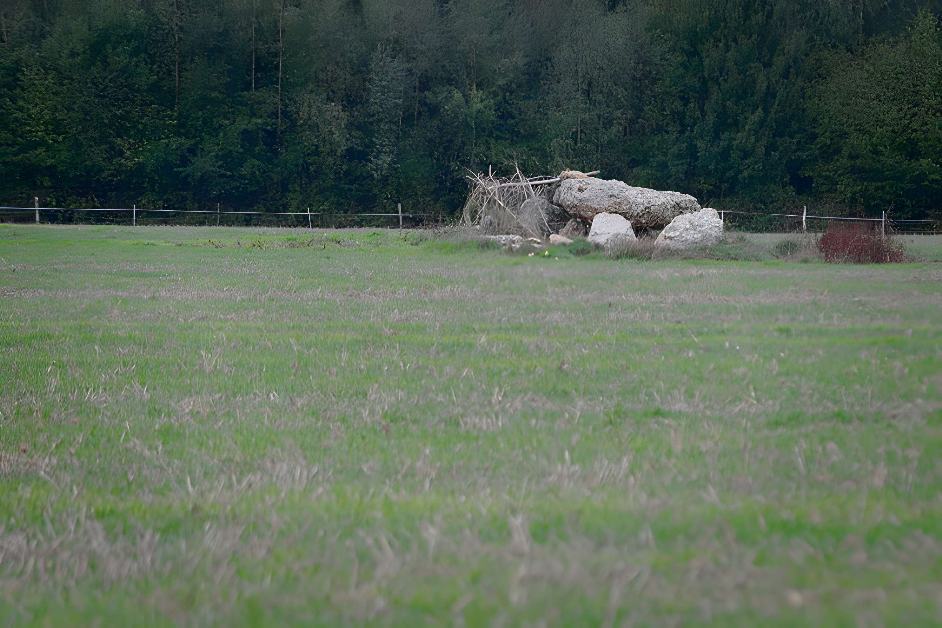Dolmen de l'Hôtel-Dieu des Ventes