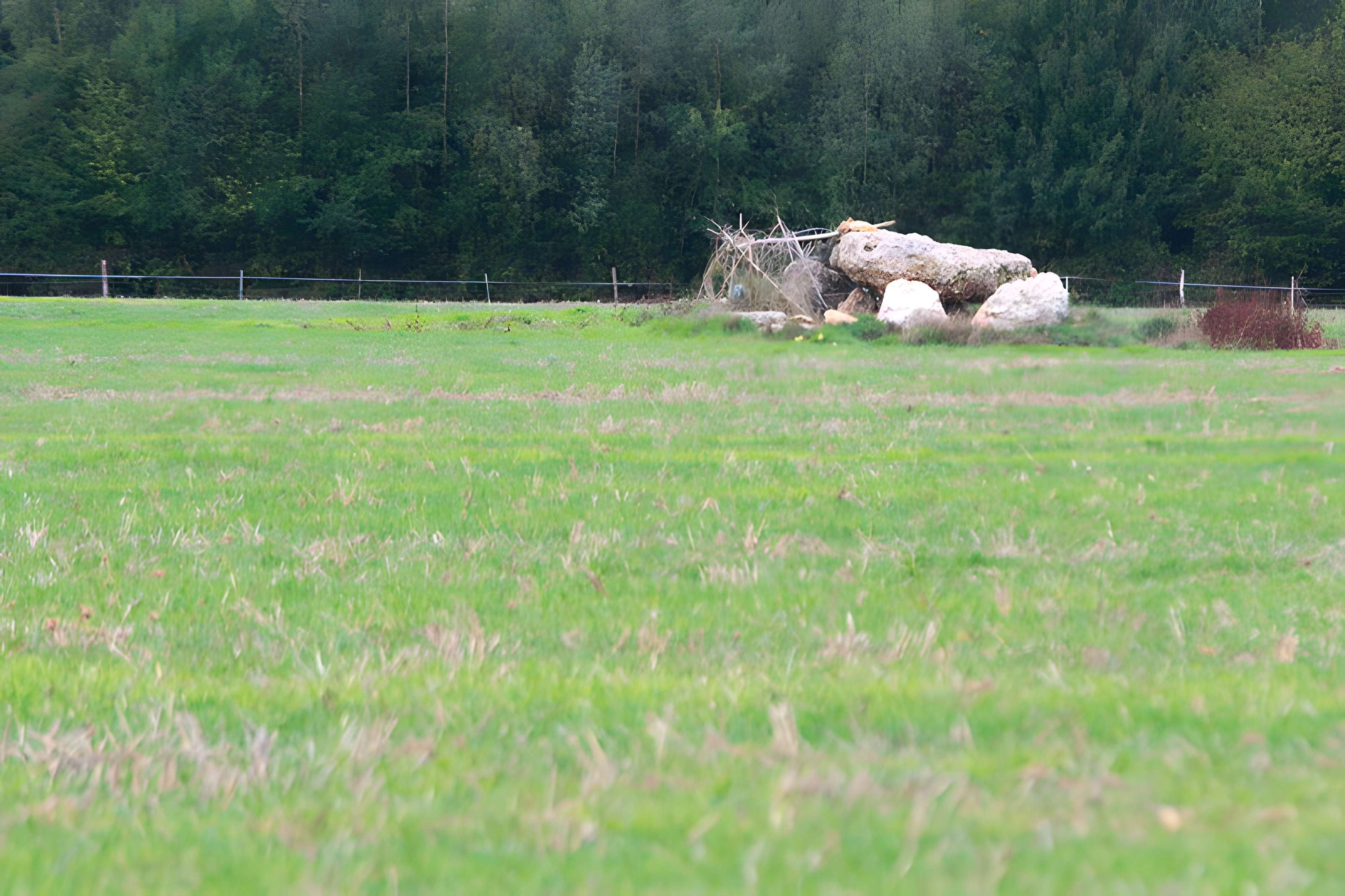 Dolmen de l'Hôtel-Dieu des Ventes