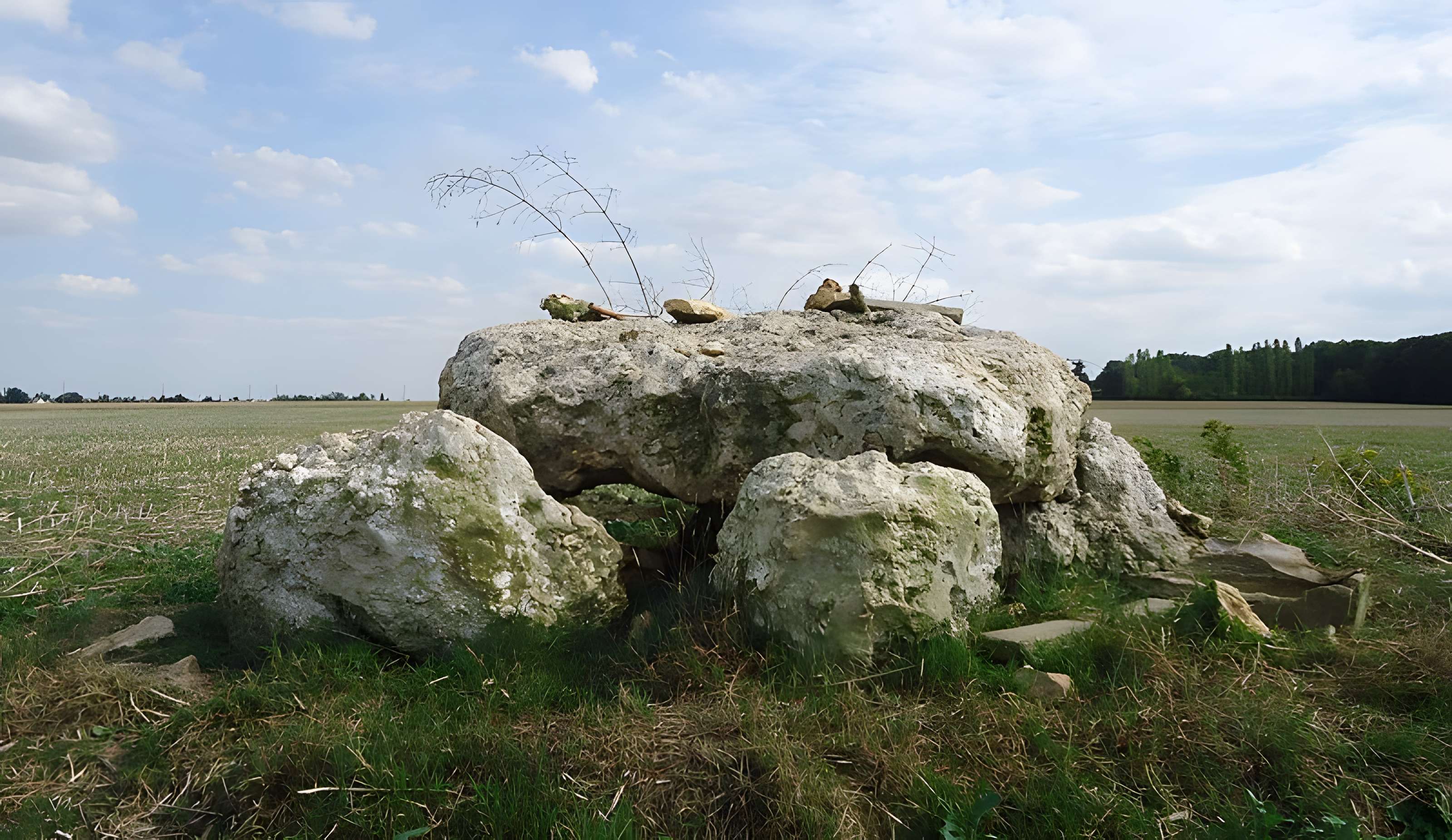 Dolmen de l'Hôtel-Dieu des Ventes