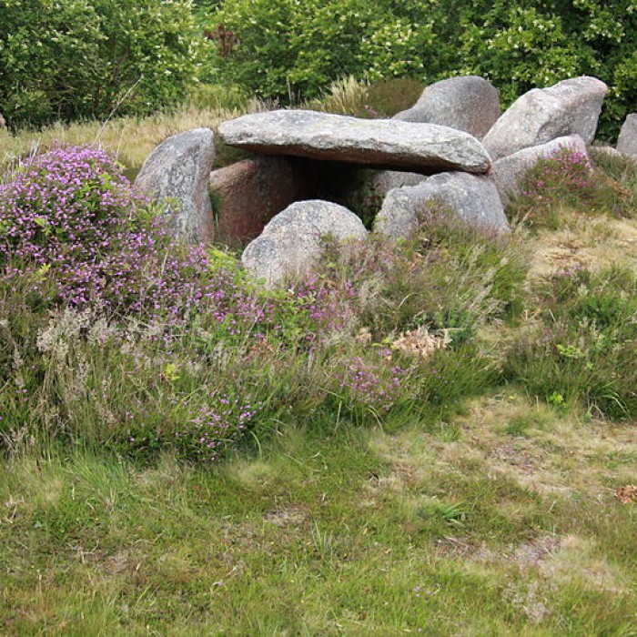 Photo de Dolmen de lÎle Renote à Trégastel