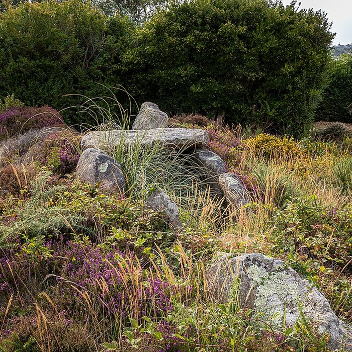 Photo de Dolmen de lÎle Renote à Trégastel