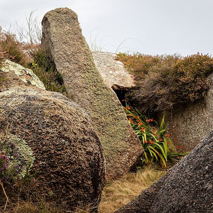 Photo de Dolmen de lÎle Renote à Trégastel
