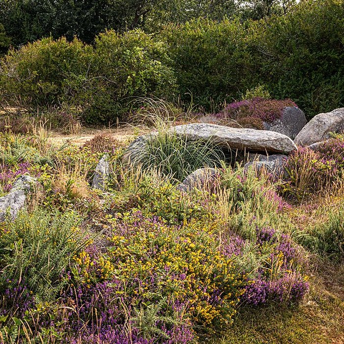 Photo de Dolmen de lÎle Renote à Trégastel