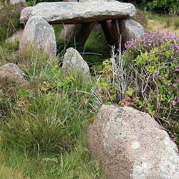Dolmen de lÎle Renote à Trégastel