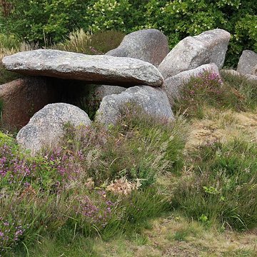 Dolmen de lÎle Renote à Trégastel