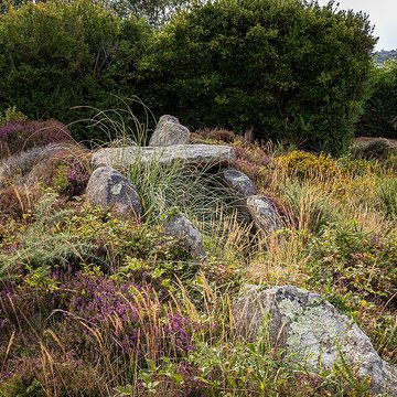 Dolmen de lÎle Renote à Trégastel