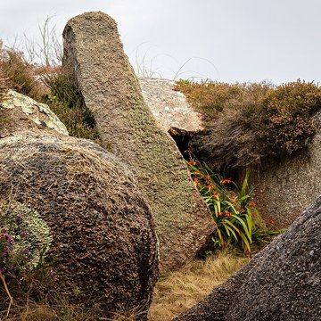 Dolmen de lÎle Renote à Trégastel