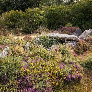 Dolmen de lÎle Renote à Trégastel