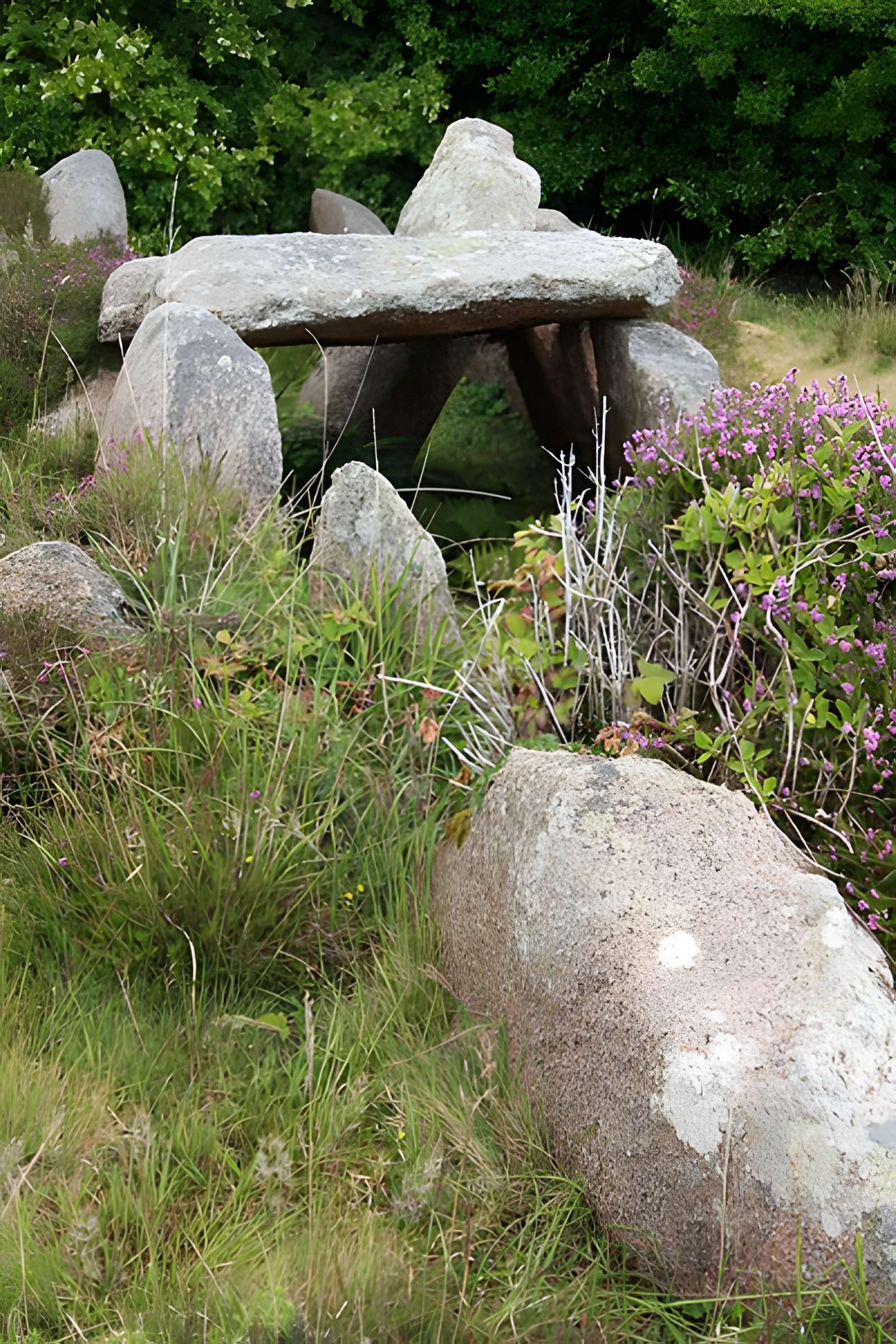Dolmen de l'Île Renote à Trégastel