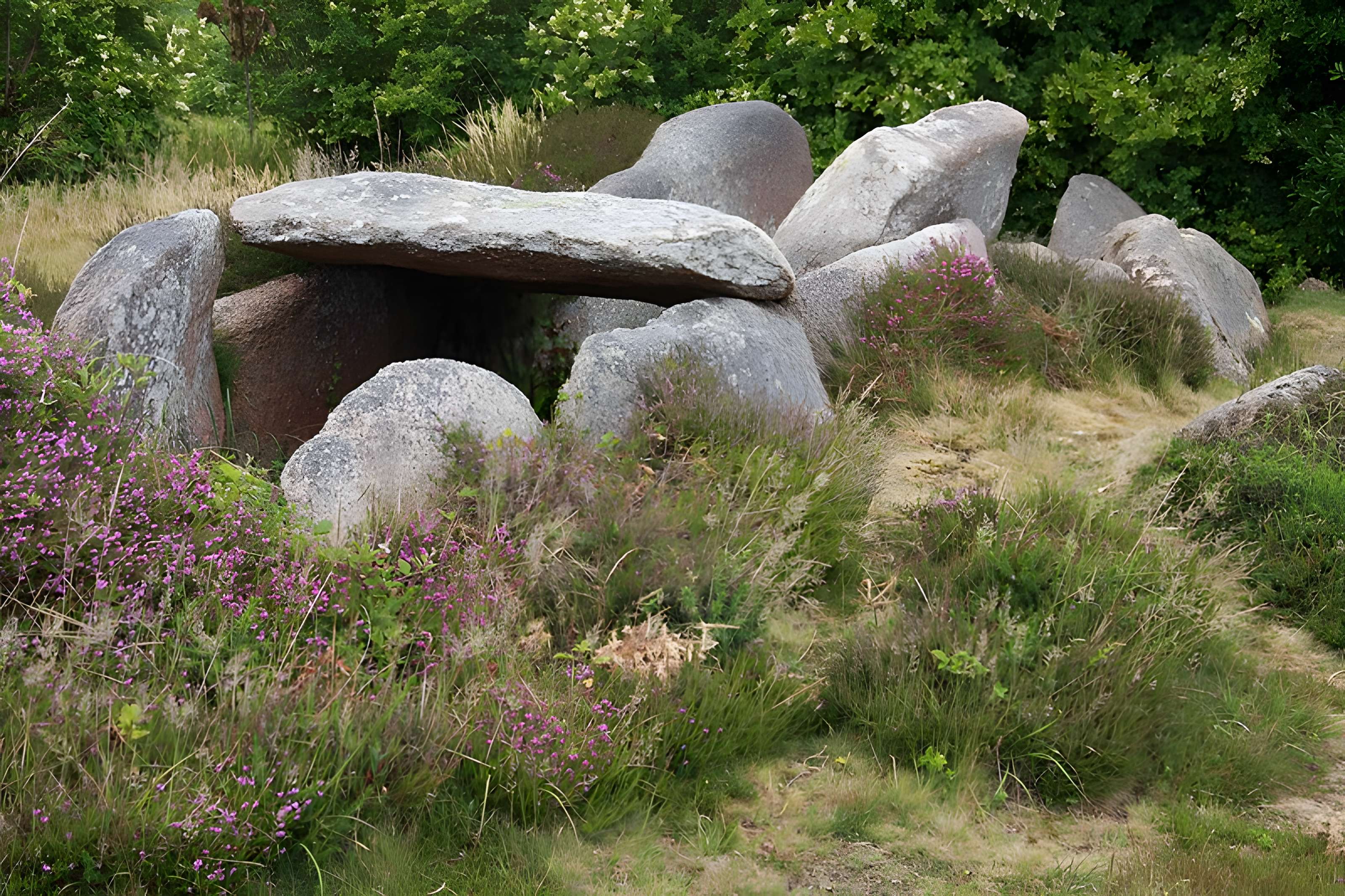Dolmen de l'Île Renote à Trégastel
