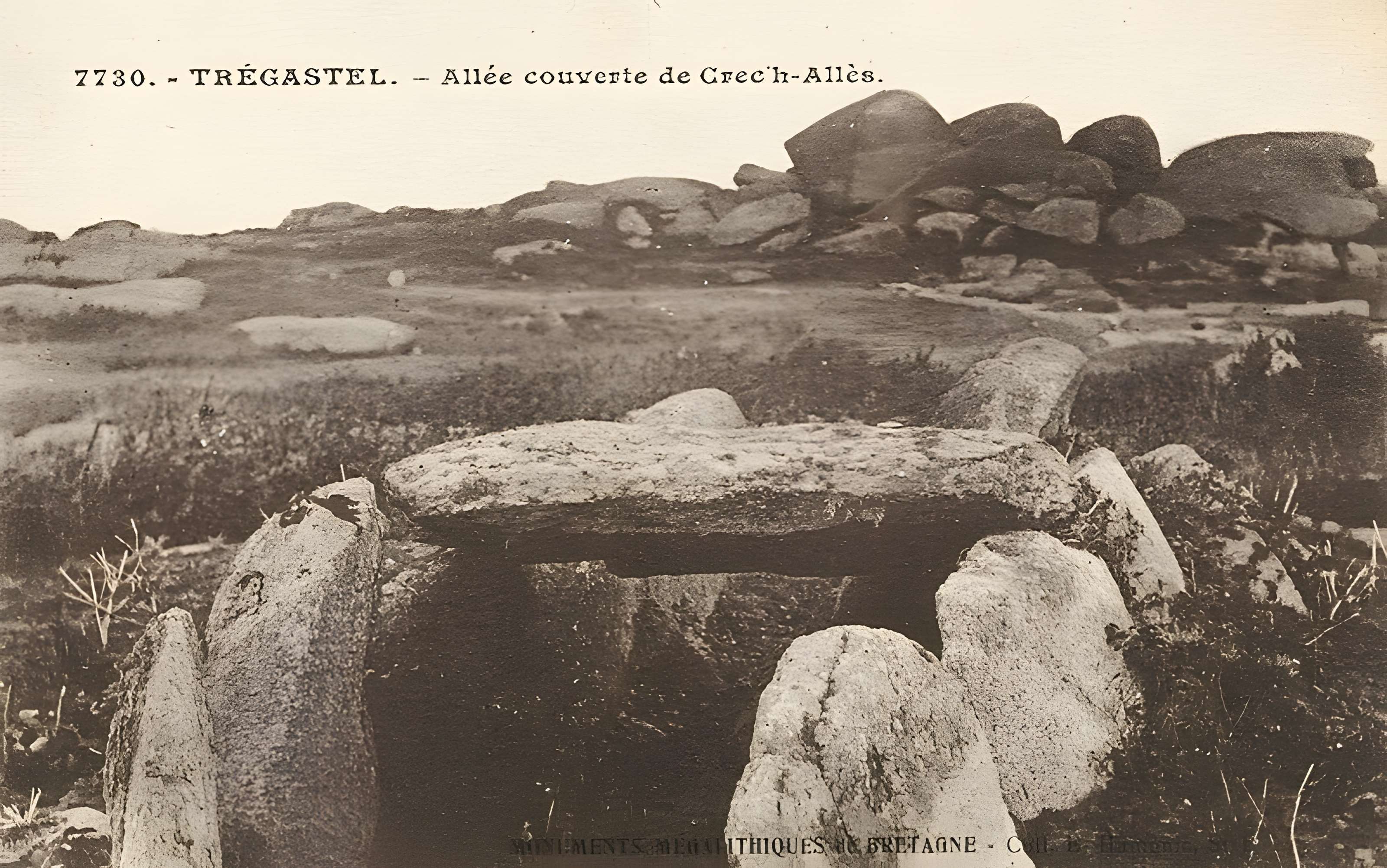 Dolmen de l'Île Renote à Trégastel