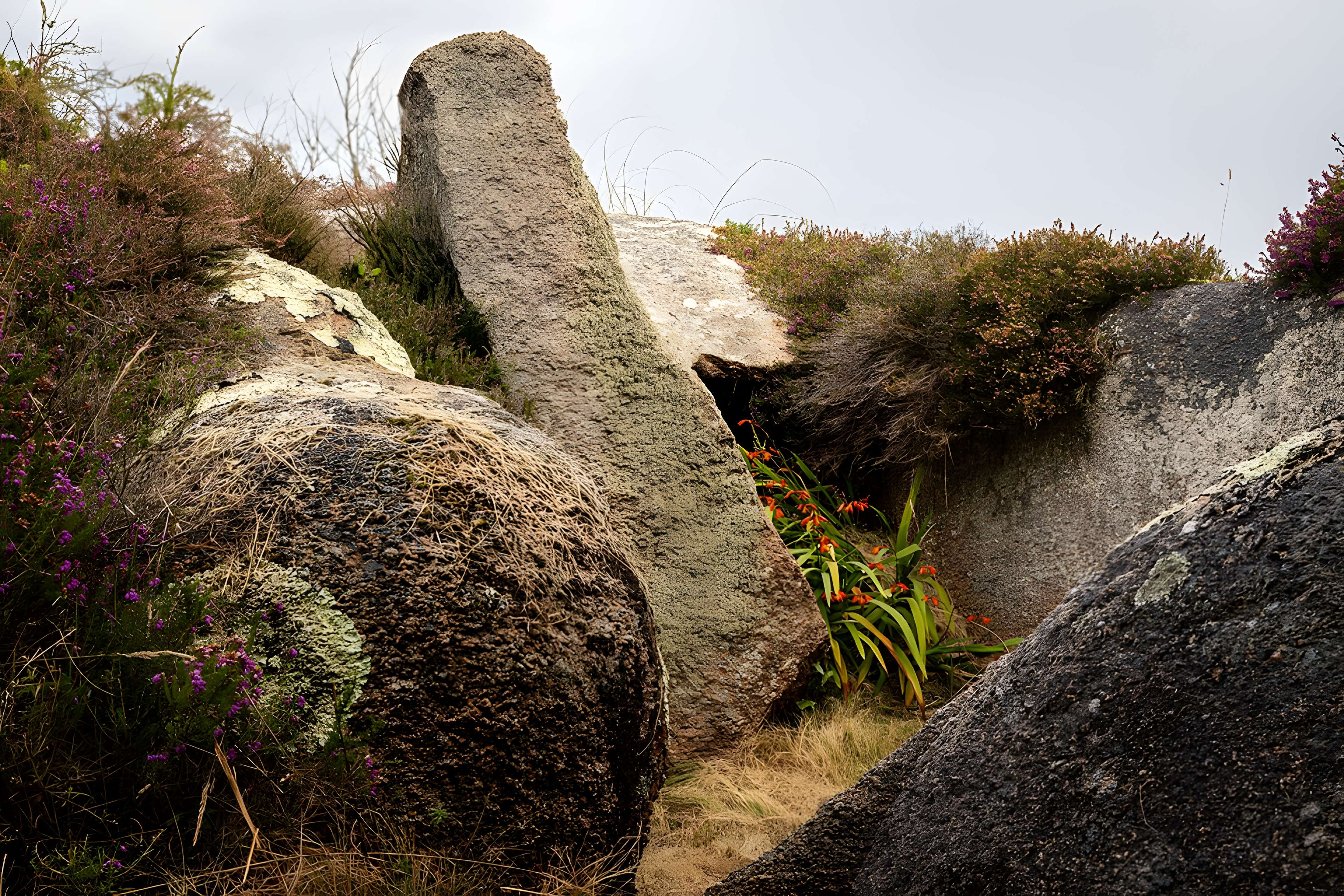 Dolmen de l'Île Renote à Trégastel