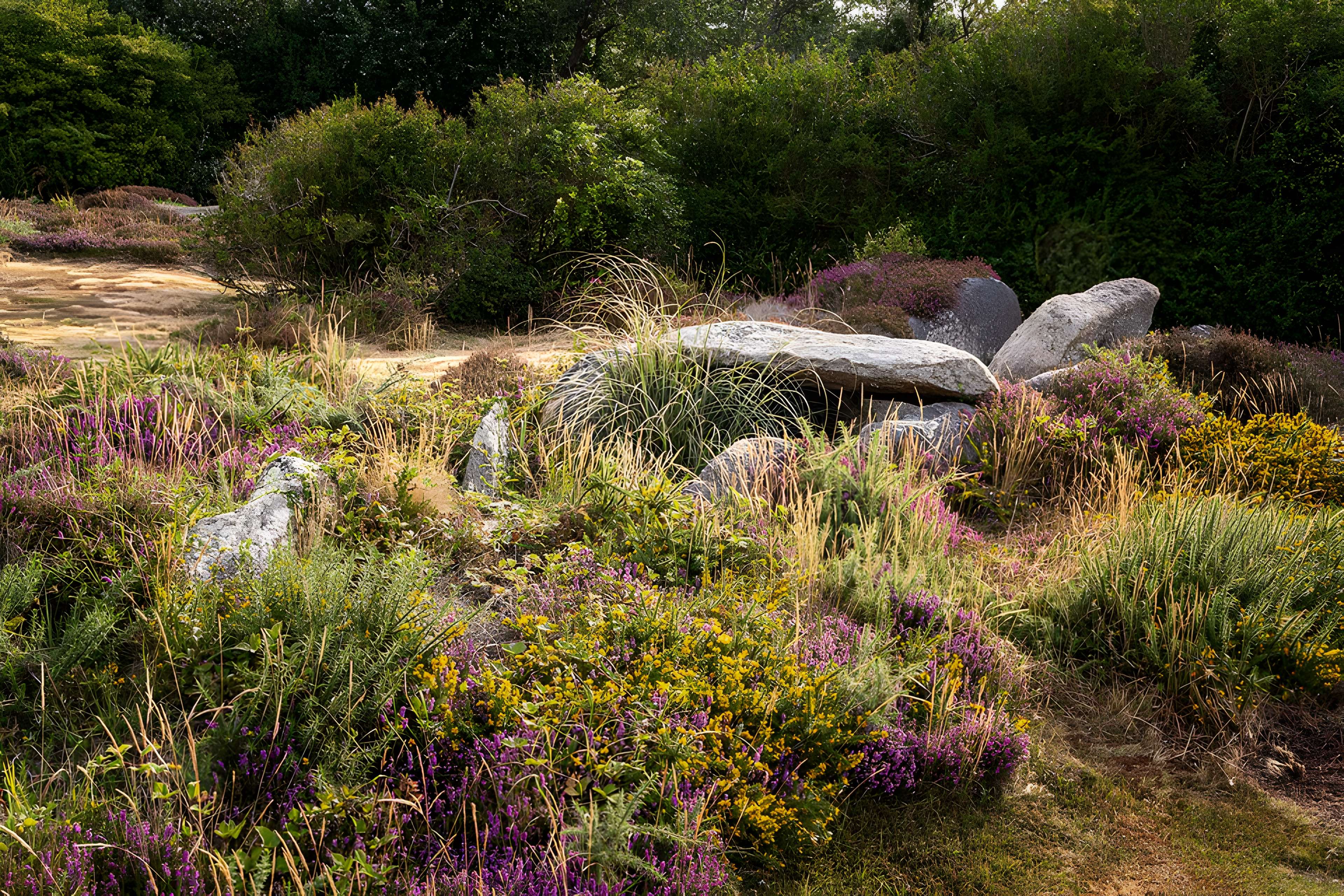 Dolmen de l'Île Renote à Trégastel