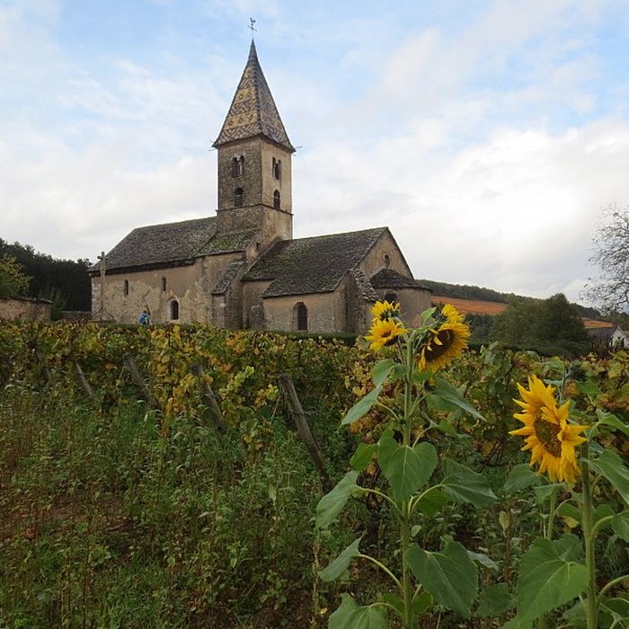 Photo de Église Saint-Antoine de Fixey de Fixin