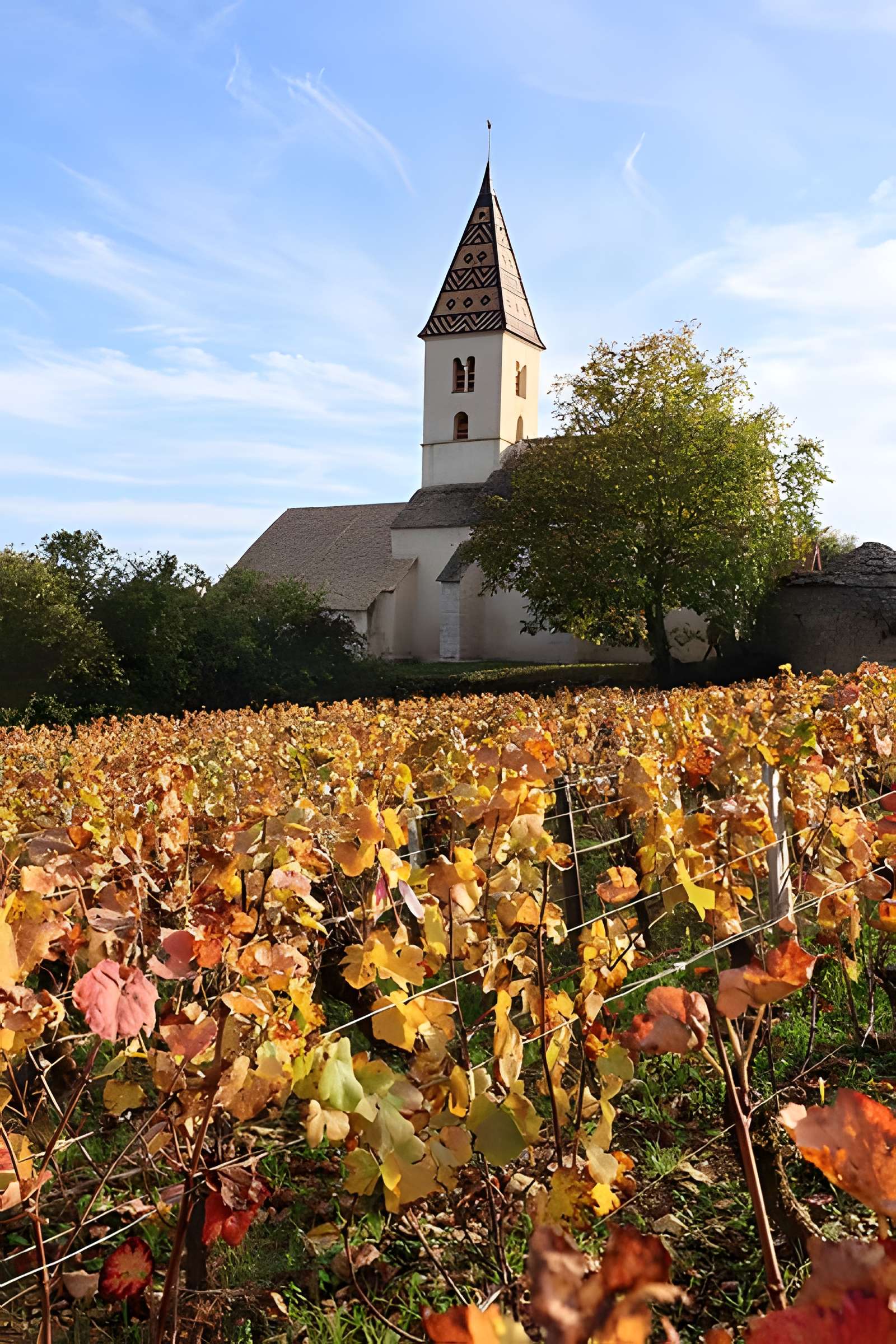 Église Saint-Antoine de Fixey de Fixin