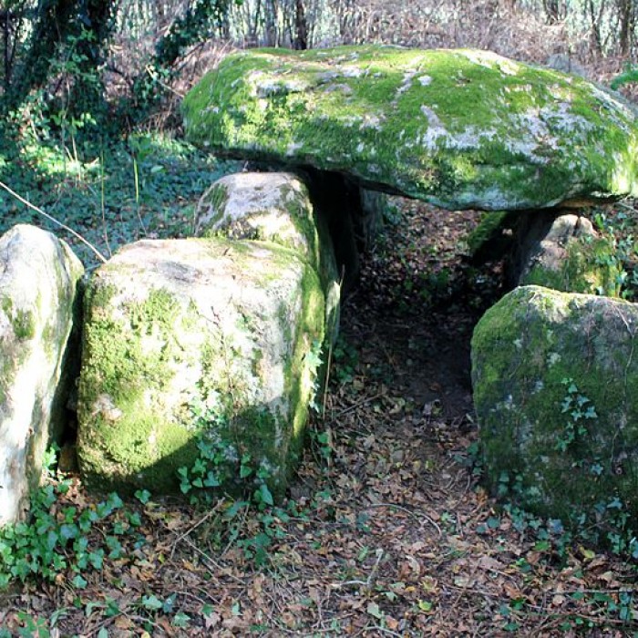 Photo de Dolmen de Locqueltas à Locoal-Mendon