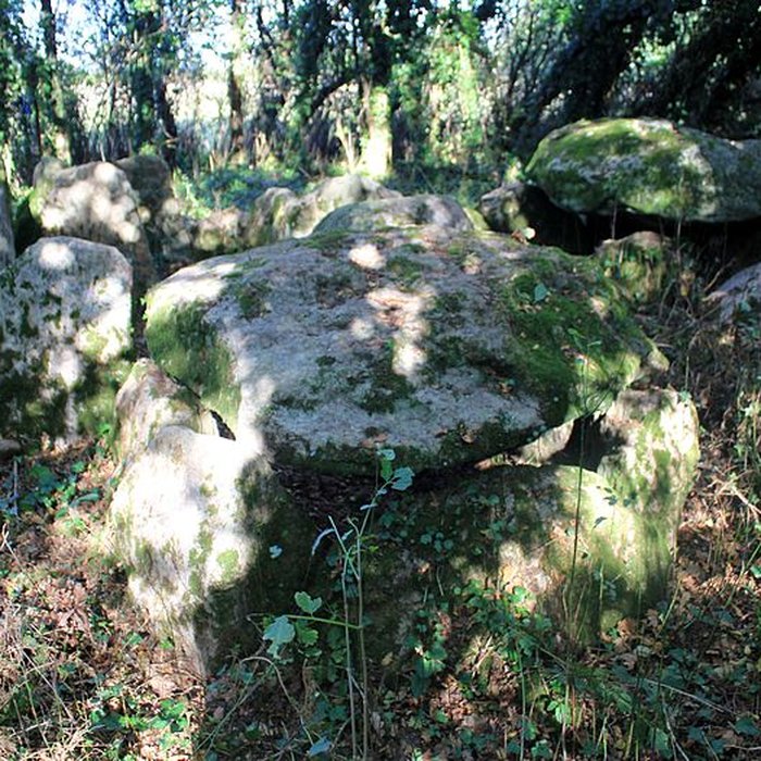 Photo de Dolmen de Locqueltas à Locoal-Mendon