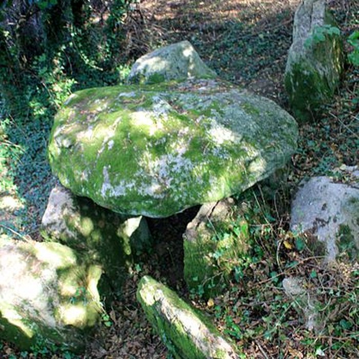 Photo de Dolmen de Locqueltas à Locoal-Mendon