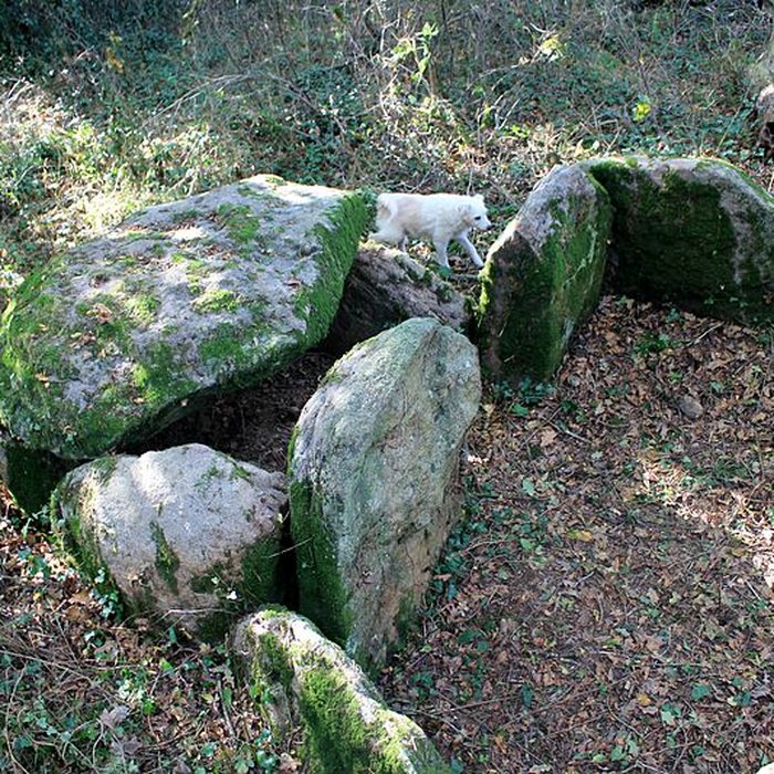 Photo de Dolmen de Locqueltas à Locoal-Mendon