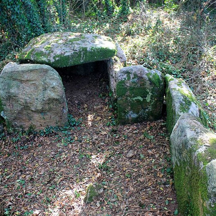 Photo de Dolmen de Locqueltas à Locoal-Mendon