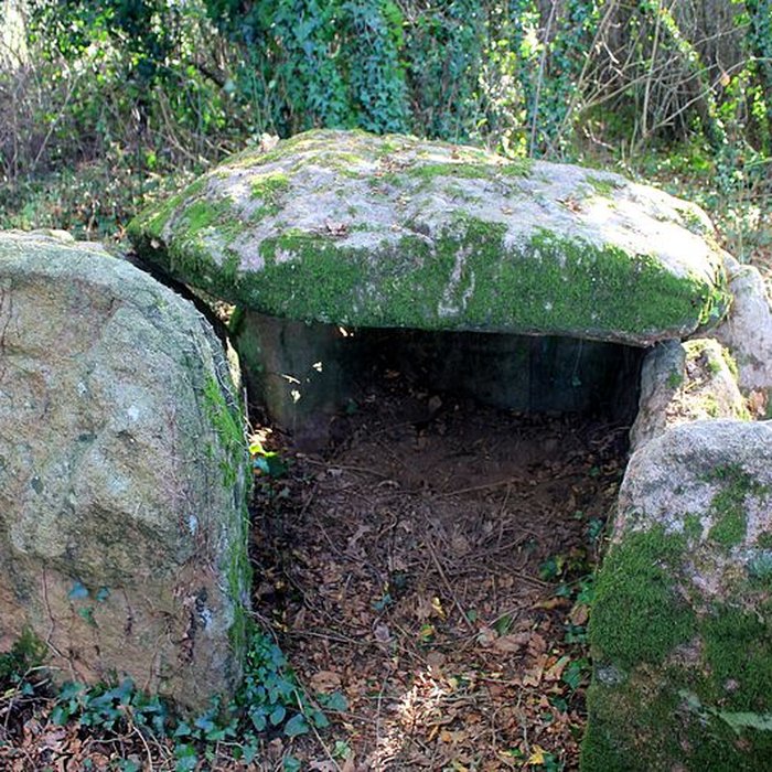 Photo de Dolmen de Locqueltas à Locoal-Mendon