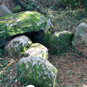 Dolmen de Locqueltas à Locoal-Mendon
