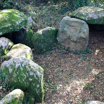 Dolmen de Locqueltas à Locoal-Mendon