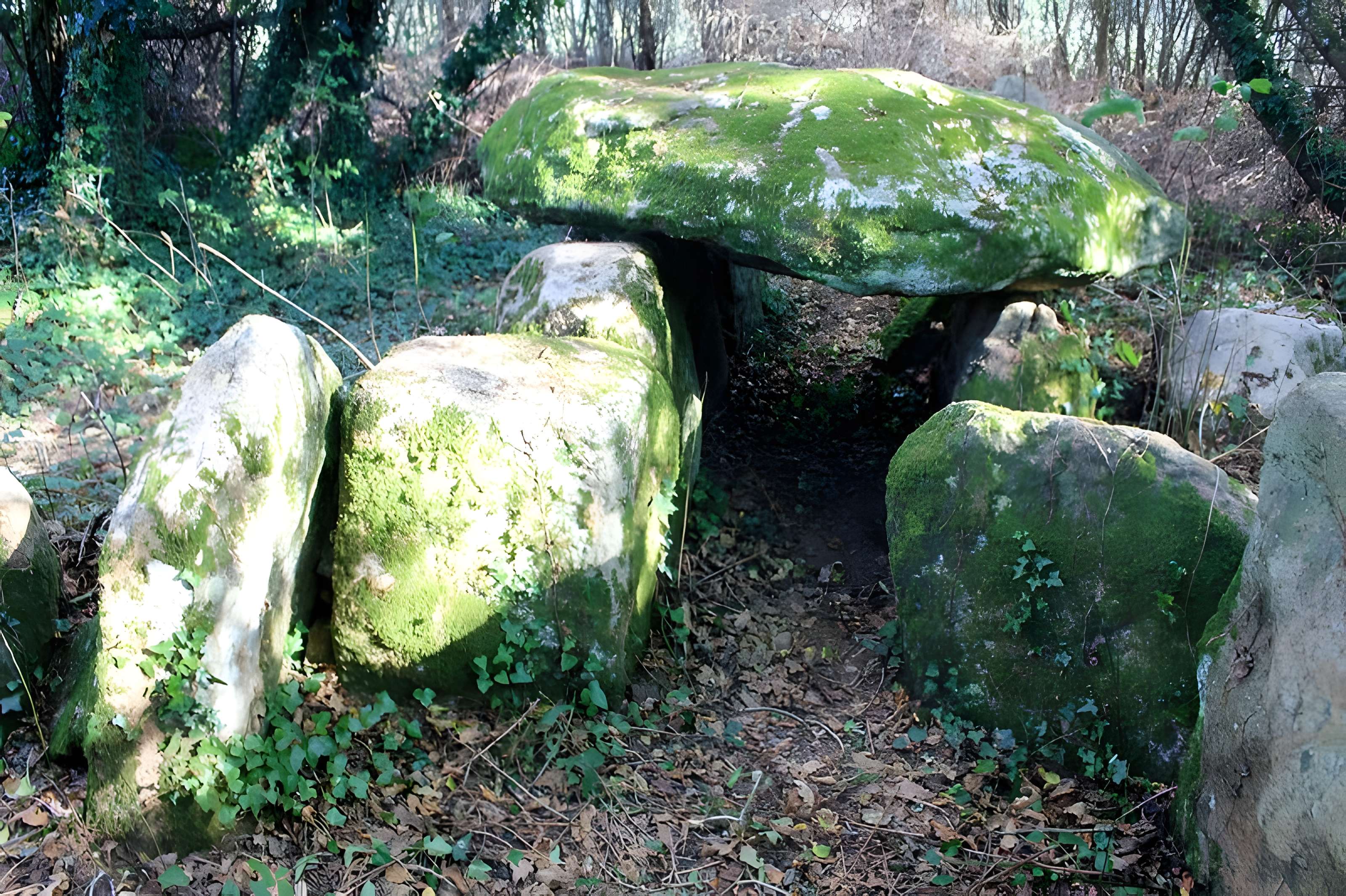 Dolmen de Locqueltas à Locoal-Mendon 