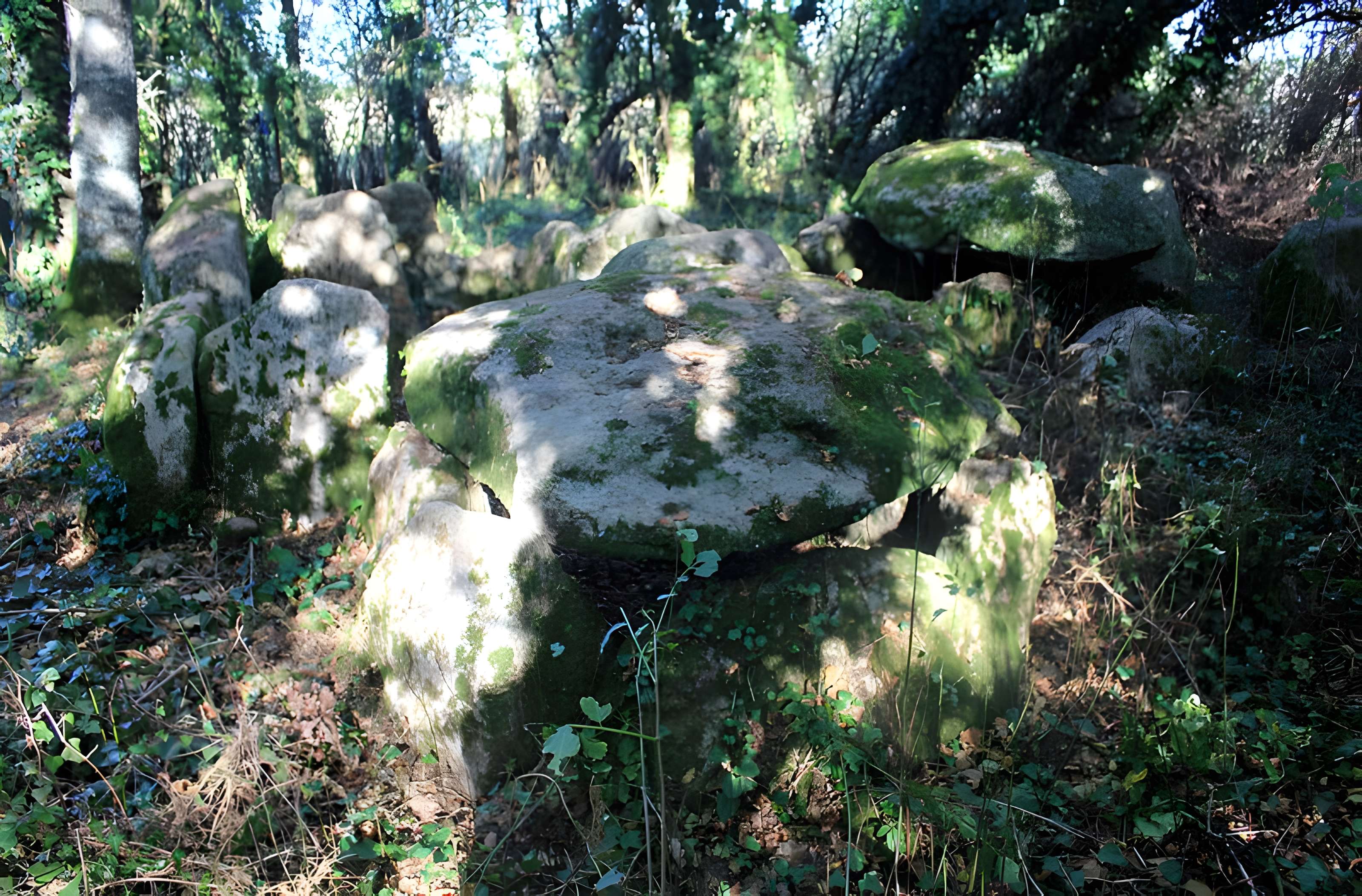 Dolmen de Locqueltas à Locoal-Mendon